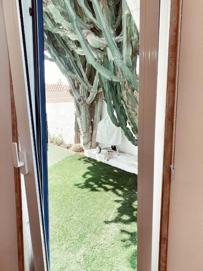 Casa Cactus Pensión *
